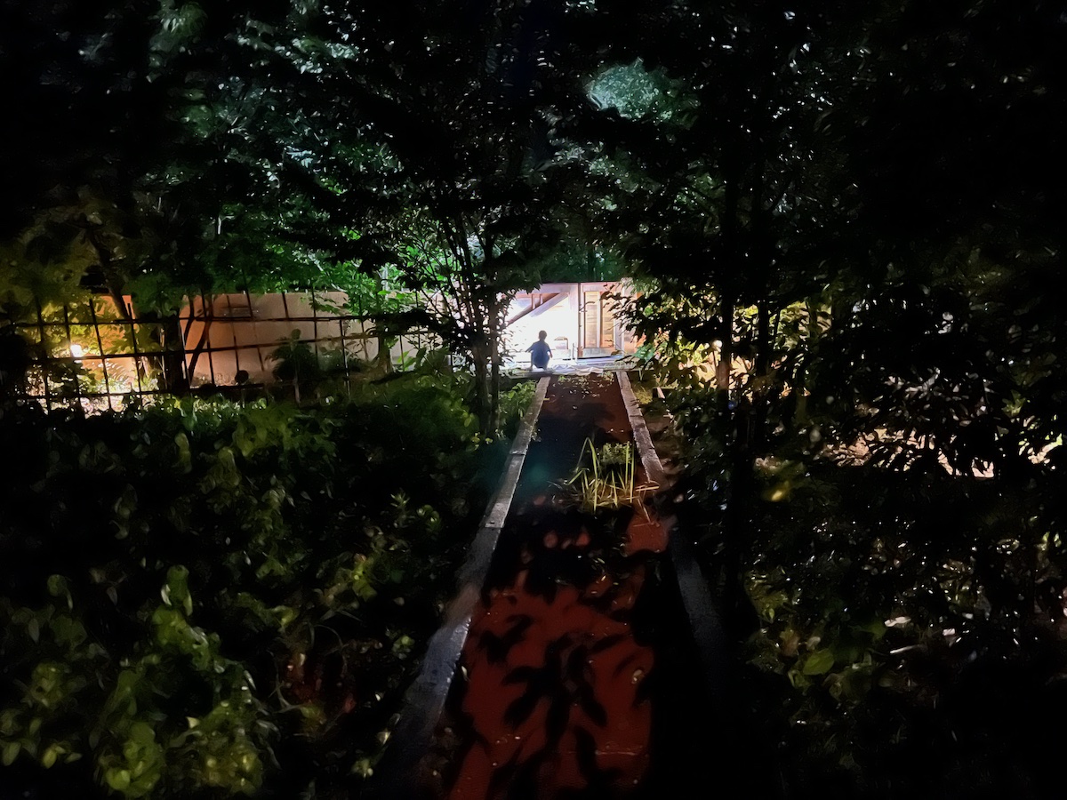 庭でライトトラップ – KOH's VIEW 4.0